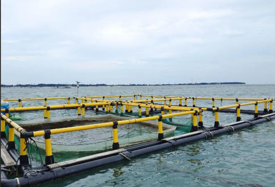 Circular Fish Cages